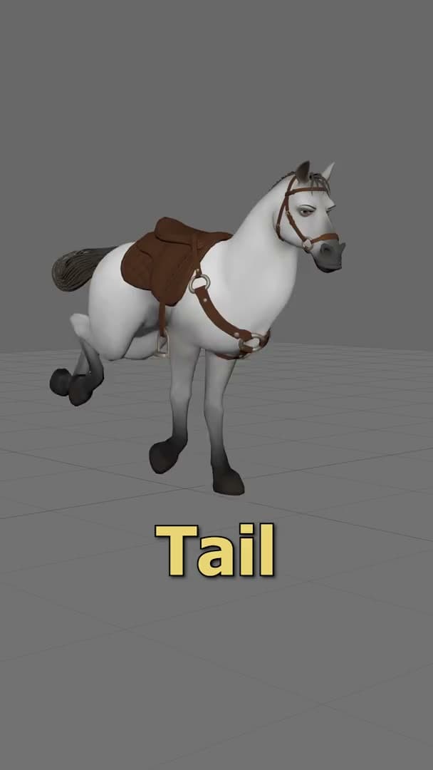 Preview — Horse