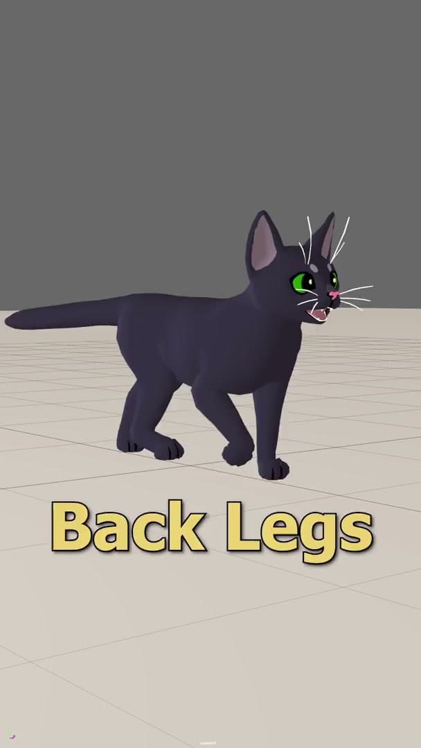 Preview — Kitty